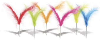 Plumas variadas 12 Cm